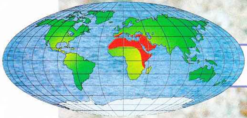 Ареал обитания священного скарабея - распространен в Северной и Восточной Африке, Южной Европе и Юго-Западной Азии.
