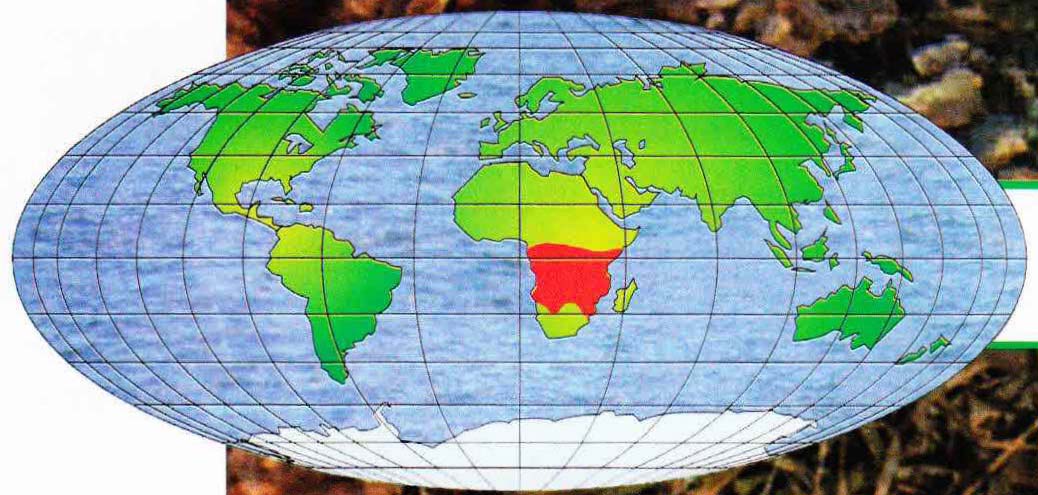 Ареал обитания гигантского слепуна - обитает в Африке.