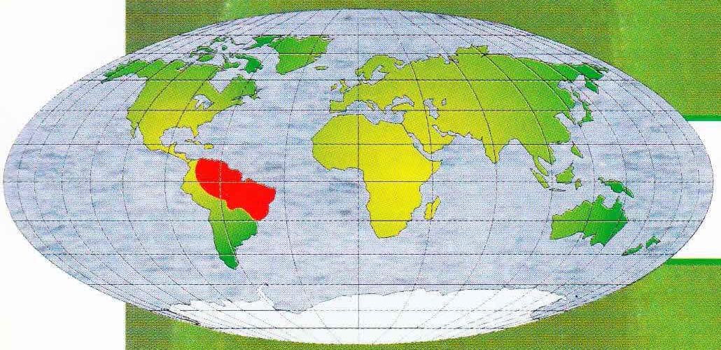 Ареал обитания кольчатой червяги - северо-восточные регионы Южной Америки.