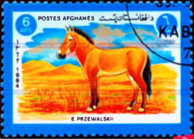 Лошадь Пржевальского на афганской почтовой марке.