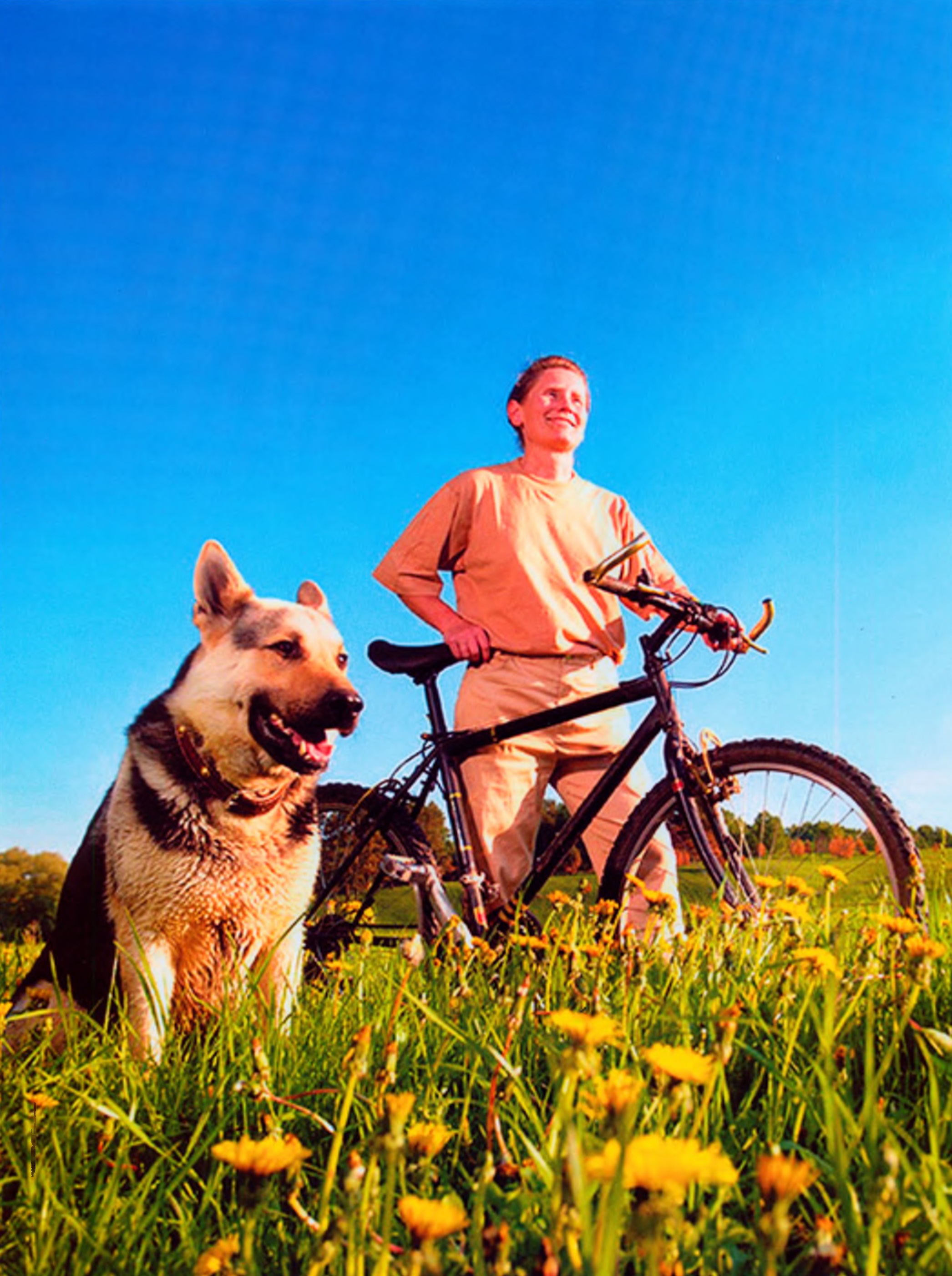 Овчарка со счастливым хозяином на велосипеде.
