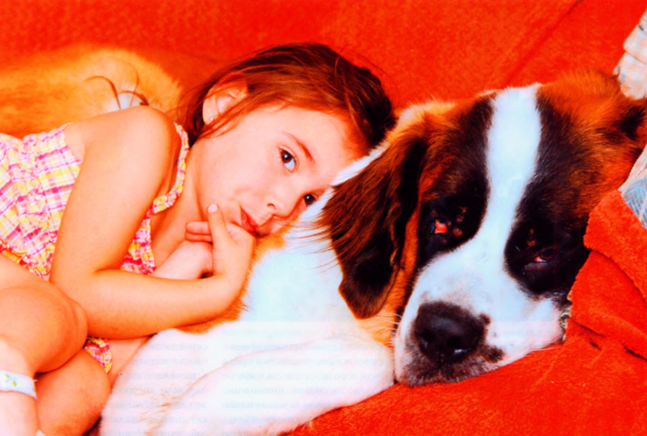 Маленькая девочка на большой собаке.
