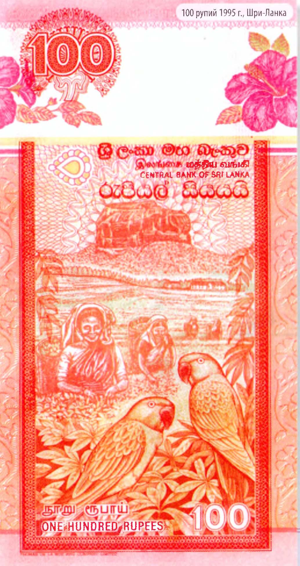100 рупий 1995 г., Шри-Ланка.