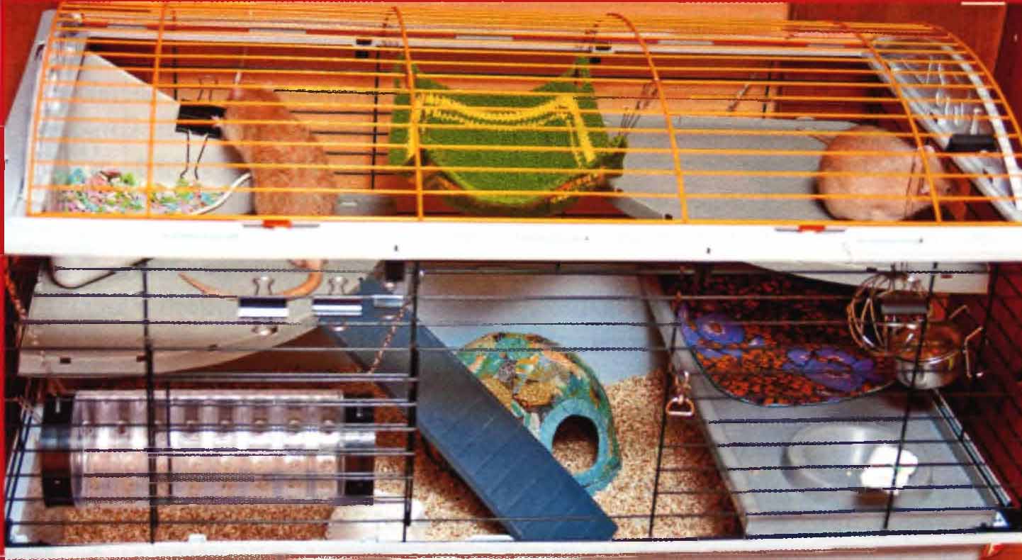 Удобная клетка для декоративных крыс.