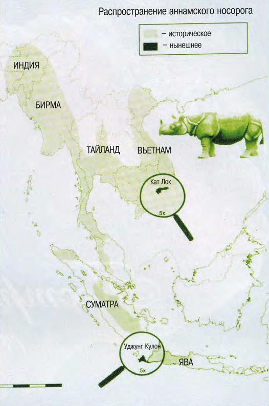 Распространение аннамского носорога