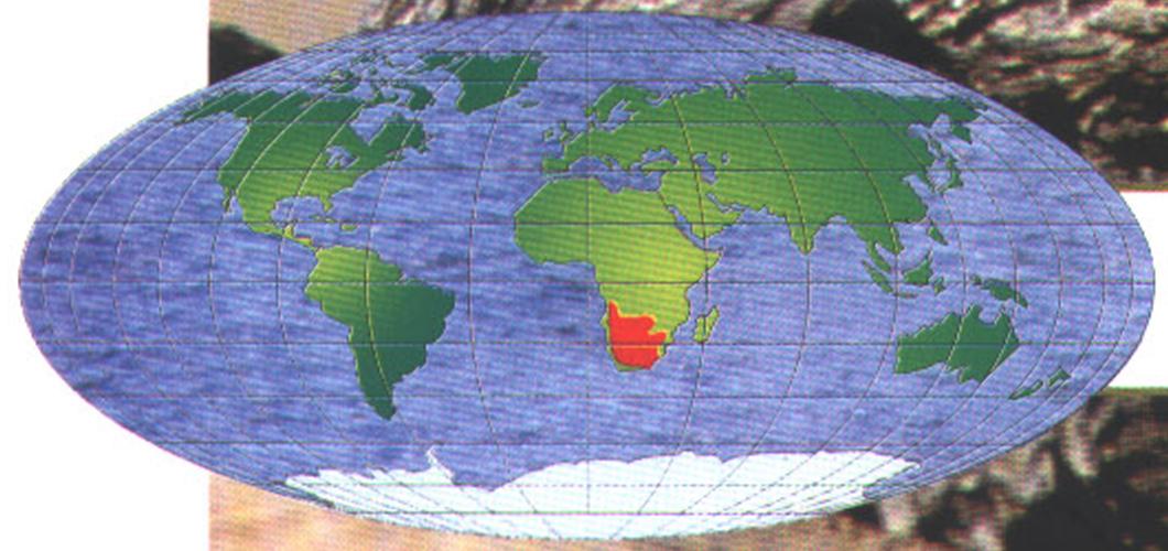 Ареал обитания сурикатов - распространён в Южной Африке.