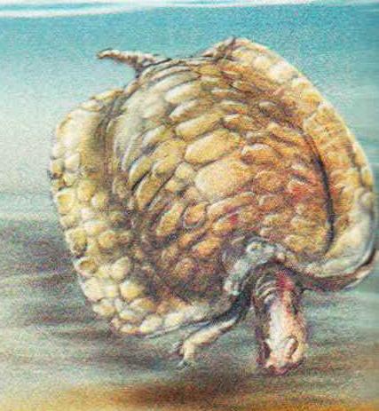 Наименее приспособленными к жизни в воде были плакодонты. К числу этих полуводных ящеров принадлежал хенод, достигавший длины около 1 м и часто становившийся добычей ихтиозавров.