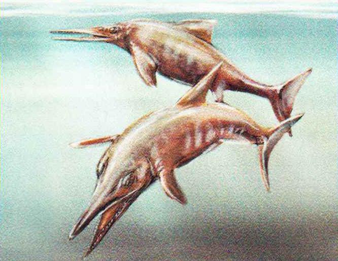 Ихтиозавры вели стайный образ жизни в поверхностных слоях воды.