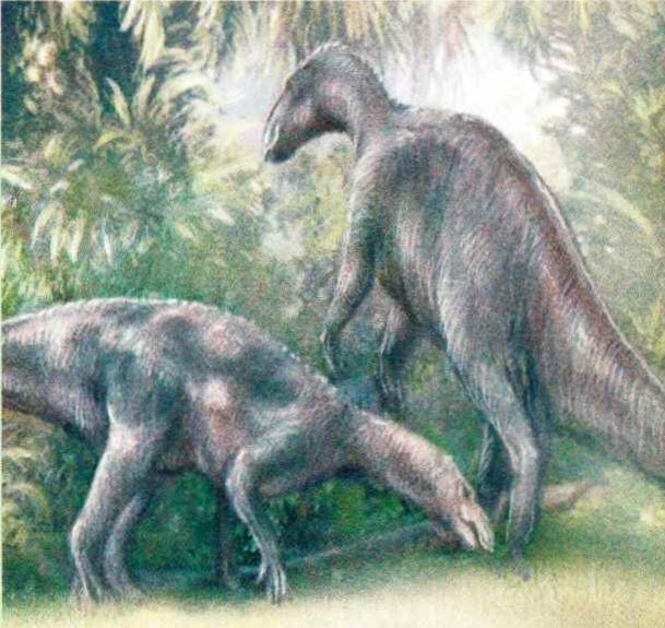 Низкорослую зелень майазавры поедали, опускаясь на четыре лапы. Короткая шея не позволяла им дотягиваться до высокой поросли, и тогда они вставали во весь рост на задних лапах.