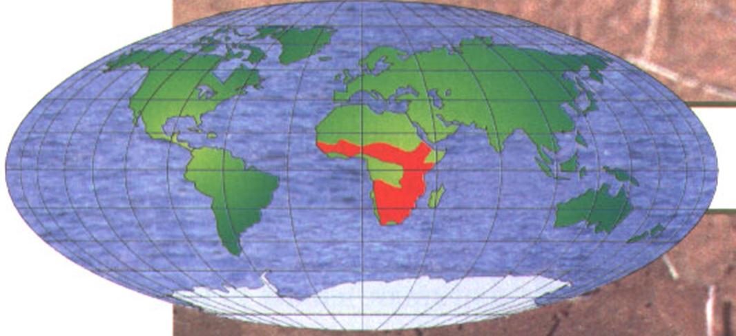 Ареал обитания трубкозуба капского - обитает в Африке к югу от Сахары.