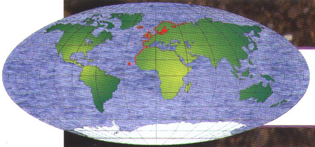 Ареал обитания морской звезды Asteria rubens - встречается у побережья Европы и Северо-Западной Африки. Представители класса морских звезд водятся у берегов Европы, Азии, Австралии, Африки и восточных берегов обеих Америк.
